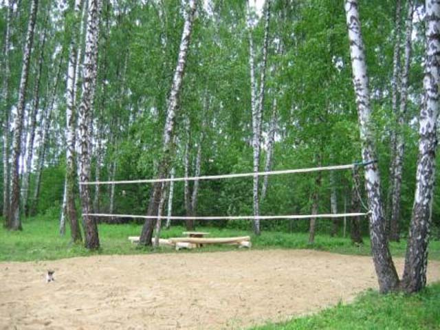 Заказать пироги дешево спб